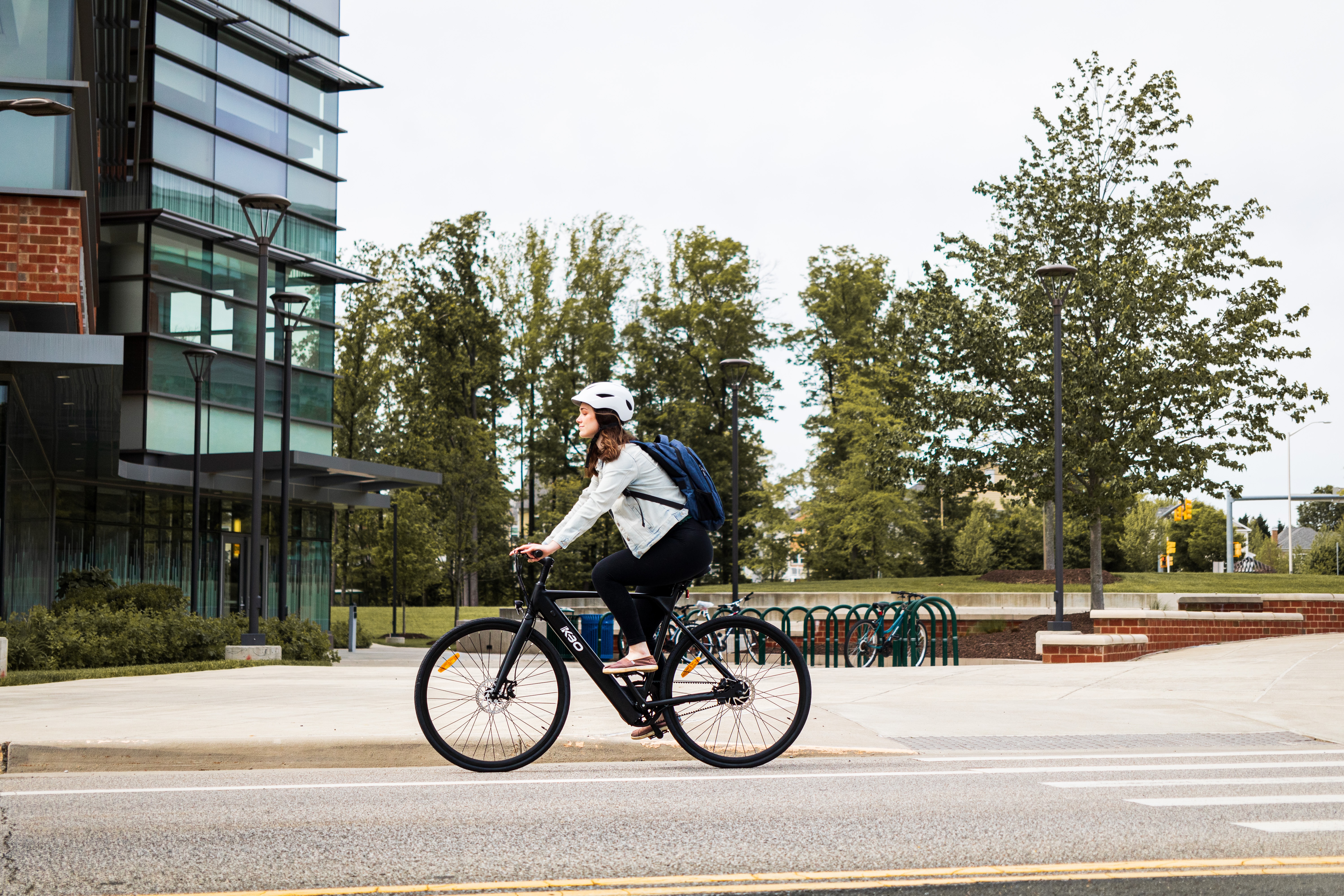 How Does a Bike-Share Navigate Speedy Success?